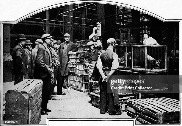 Corner of Leadenhall Market, London, circa 1901 . Leadenhall Market, in the City, is one of the oldest markets in London, dating from the 14th...