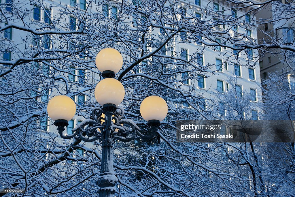 Snowy street lights in front of Plaza Hotel.