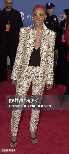 Singer Eve arrives wearing a leapord skin print at the 43rd Annual Grammy Awards in Los Angeles 21 February 2001. AFP PHOTO/Lucy NICHOLSON