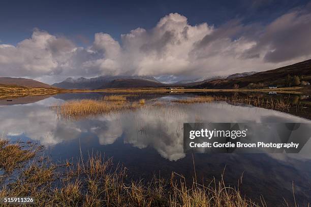 1,147 Ross Reed Stock Photos, High-Res Pictures, and Images - Getty Images