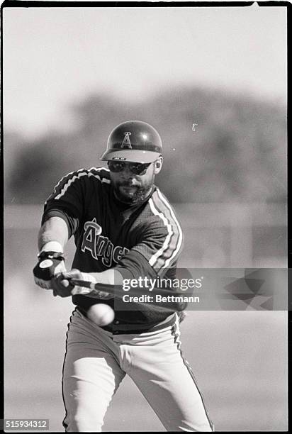 Mesa, AZ: Slugger Reggie Jackson hits the ball at his first day of spring training. PH.: Martin Jeong