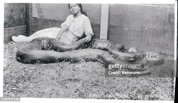 Poor Phillipine Pythons No Longer to Feast on Dog Meat. Here is a little sixteen year old Phillipine girl who has a soft job watching the Phillipine...