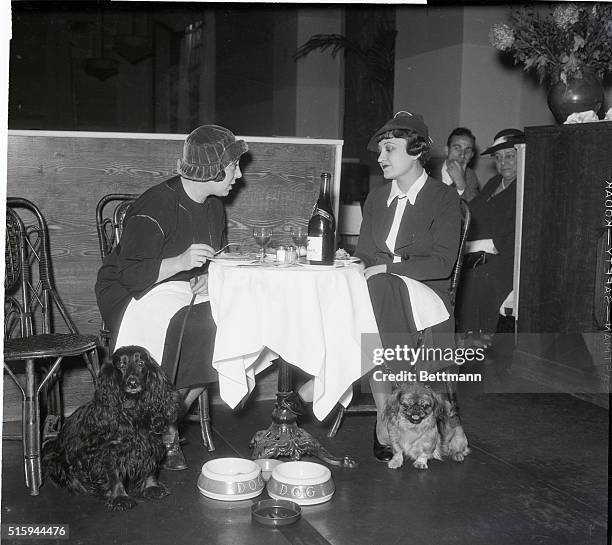 Patrons bring their dogs to lunch with them between the hours of 1:00 and 3:00pm at Anna's Held's In Town, a New York City restaurant. Here, Anna...