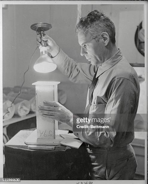 Here entomologist Harold G. Wilson loads a small test box with house flies by meens of a light and a glass plate. The box is sprayed with DDT...