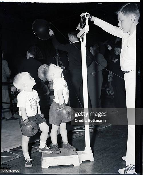 Annapolis, MD: Quentin Crommelin, 3 1/2, puts his foot on the scale to confuse the weigh-in of his opponenet, Lanny Wolf, 2 1/2, at the Junior Boxing...