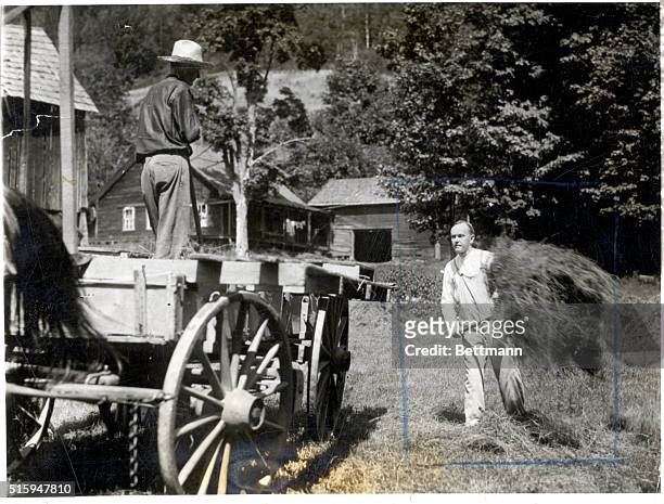 President Calvin Coolidge on the Blanchard Farm at Pinney Hollow as he threw a fork full of hay on the wagon. He seems to be enjoying his "back to...