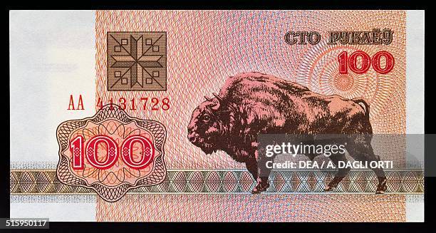 Rubles banknote reverse, European bison. Belarus, 20th century.