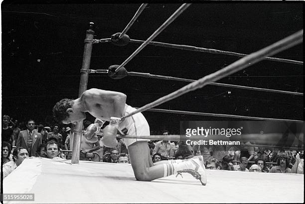 New York, New York- Junior Welterweight challenger Jose Ramon Guerrero Chavez leans on ropes - torso outside the ring - during action in 15th round...