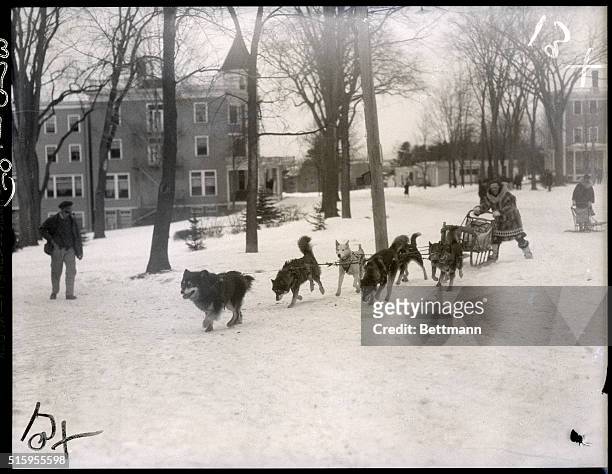 Poland Springs, ME: Photo shows Leonhard Seppala, famed Alsaskan dog racer, as he brought his team, led by "Billikin" and "Togo" into Poland Springs...
