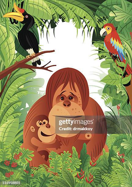 orang-utan - kalimantan stock-grafiken, -clipart, -cartoons und -symbole