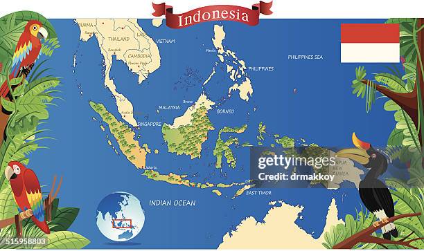 stockillustraties, clipart, cartoons en iconen met cartoon map of indonesia - kalimantan