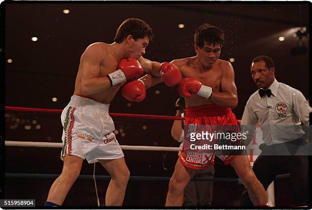 Las Vegas, NV-: Jose Luis Ramirez reels back from a left by Julio Cesar Chavez during second round action of the WBC-WBA lightweight title fight in...