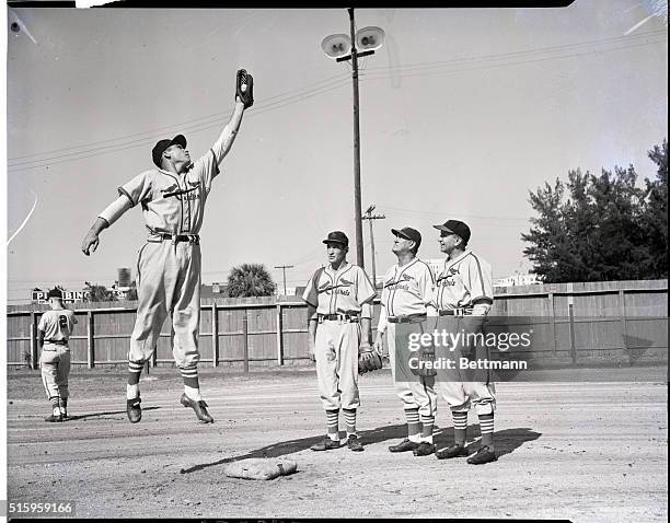 St. Petersburg, FL- Dick Sisler, Cardinals first baseman, goes up in the air after one during his first day at practice with the club in St....