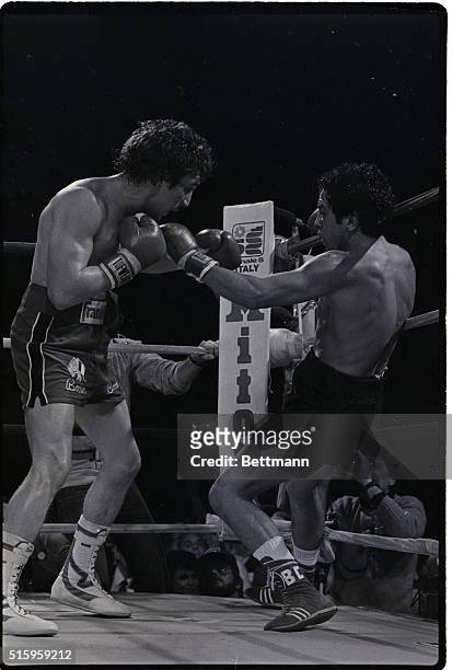 Reno, NV: Bobby Chacon is staggered at the ropes moments before Ray "Boom Boom" Mancini, WBA lightweight champion, finished challenger Chacon off...