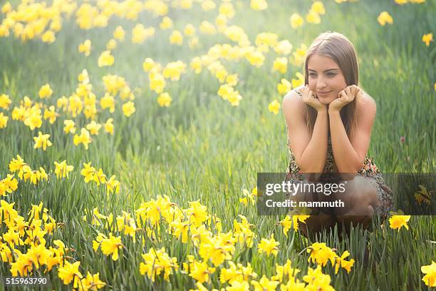 young woman with daffodils - daffodil field stock pictures, royalty-free photos & images