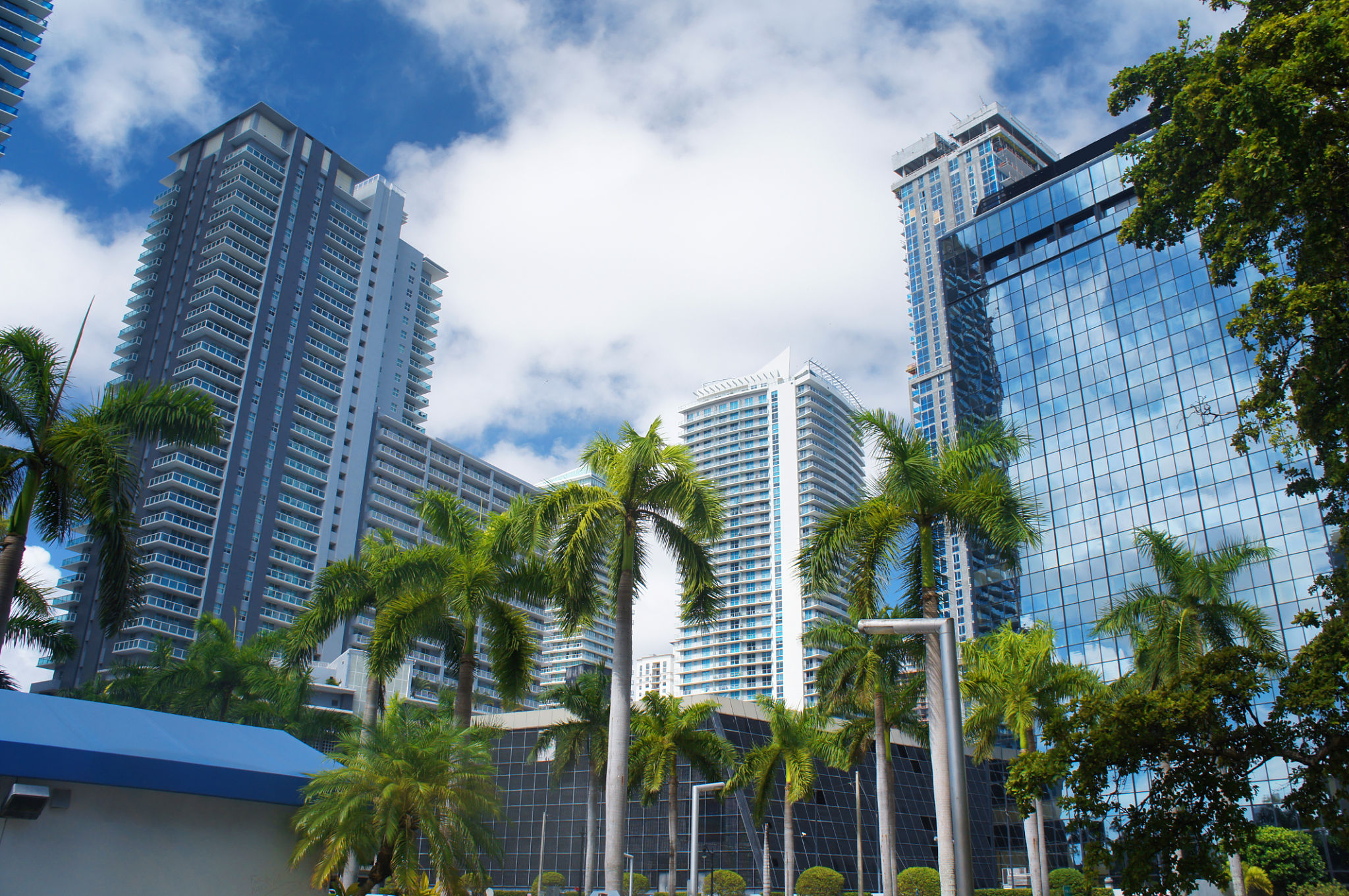 miami business