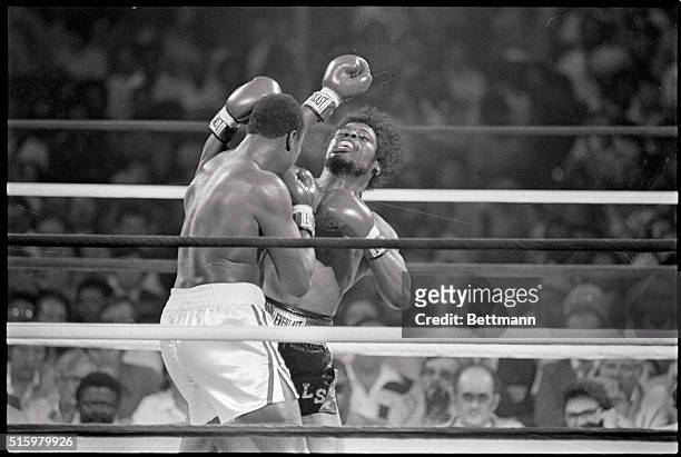 Detroit, Michigan-Heavywight champ, Larry Holmes' left bounces off the face of Leon Spinks in the first round of the title bout. Holmes won a...