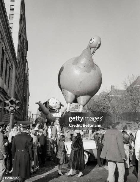 New York, NY: Photo taken at the Macy's Thanksgiving Day Parade in New York City shows a large balloon of a Thanksgiving turkey being led down the...