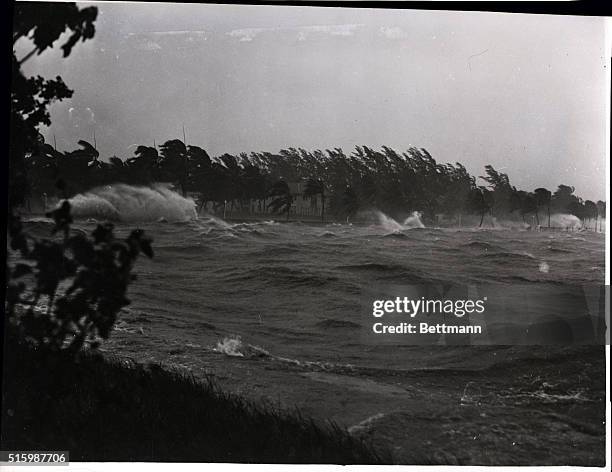 Miami, FL-Winds of 100mph kick up waves in Biscayne Bay. The bay water here is but 10ft. Deep, so destruction was not as bad as on the ocean coast....