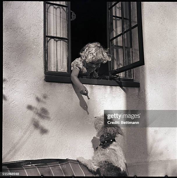 Picture shows a litle girl leaning out of a window in a house to feed a dog. She has on a dress and she has curly hair. The dogs' front paws are...