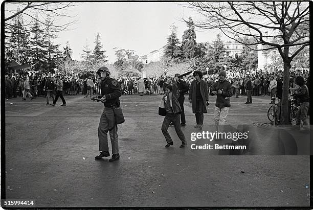 Berkeley, CA- Screaming imprecations at a hapless California Highway Patrolman , a young female demonstrator prepares to belt him on the head with...