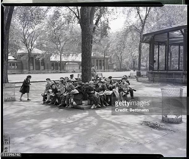 New York- These small school children have just spent hours ramming peanuts and popcorn down the throats of unprotesting ducks, chickens, and...
