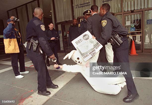 Peta Sign Only Rabbit Washington Dc Peta Photos and Premium High Res Pictures - Getty Images