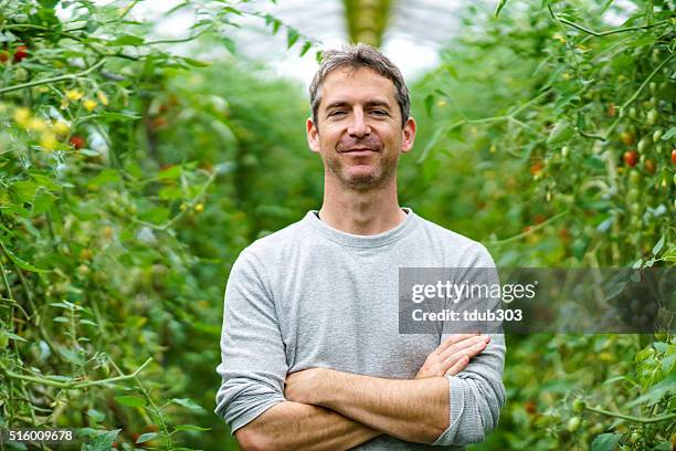mature adult entrepreneur standing in his small business greenhouse - tomato greenhouse stock pictures, royalty-free photos & images