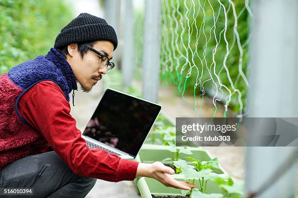 agricultural researcher using a laptop computer in a greenhouse environment - agriculture research stock pictures, royalty-free photos & images