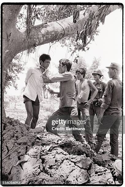 Hanging from a tree with a rope around his neck, a suspected VietCong is beaten and interrogated by government soldiers after his capture here April...