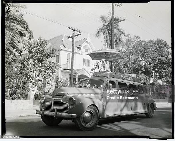 Key West, FL: Owner of a local sightseeing car takes his dog along on his daily rounds. The pooch sits in splender on the roof, protected from the...