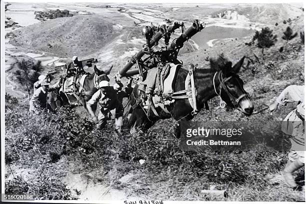 China: Mules are used by the Chinese Communist Army to move supplies through a mountainous area in China. Filed 3/8/1950.