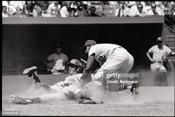 St. Louis, MO: Out at the plate, Cardinal pitcher Steve Carlton puts the tag on Cincinnati Reds' Tommy Helms in the 7th inning of St....