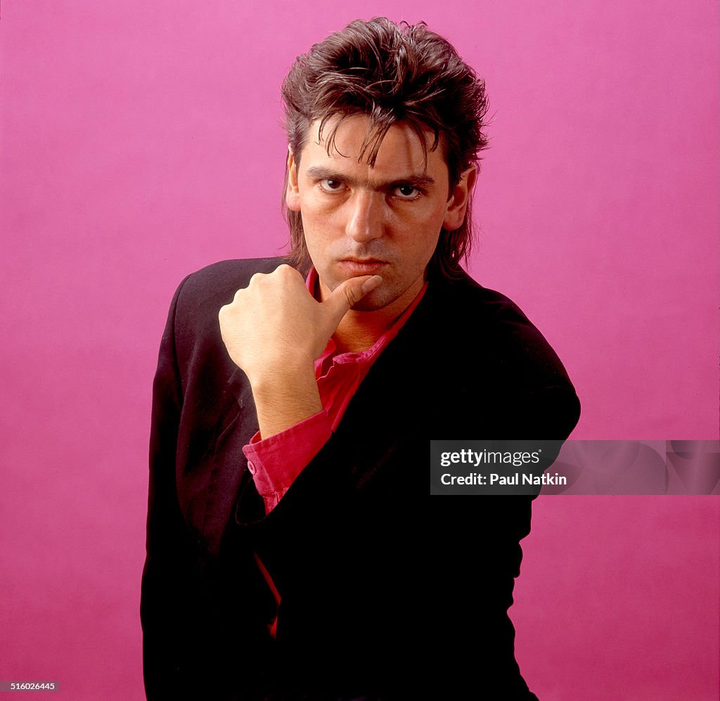 Portrait Of Robyn Hitchcock