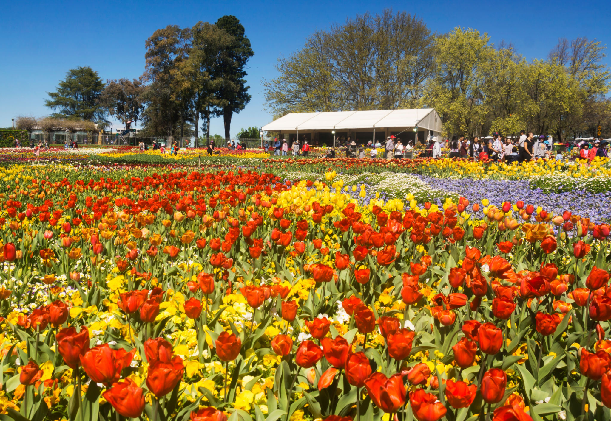 canberra garden