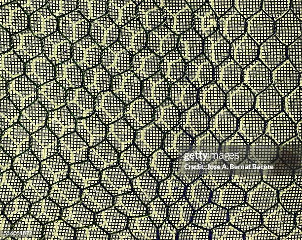 concentric forms in the shape of rhombus on a blackground of wire gauze of  green color - black blackground stock pictures, royalty-free photos & images