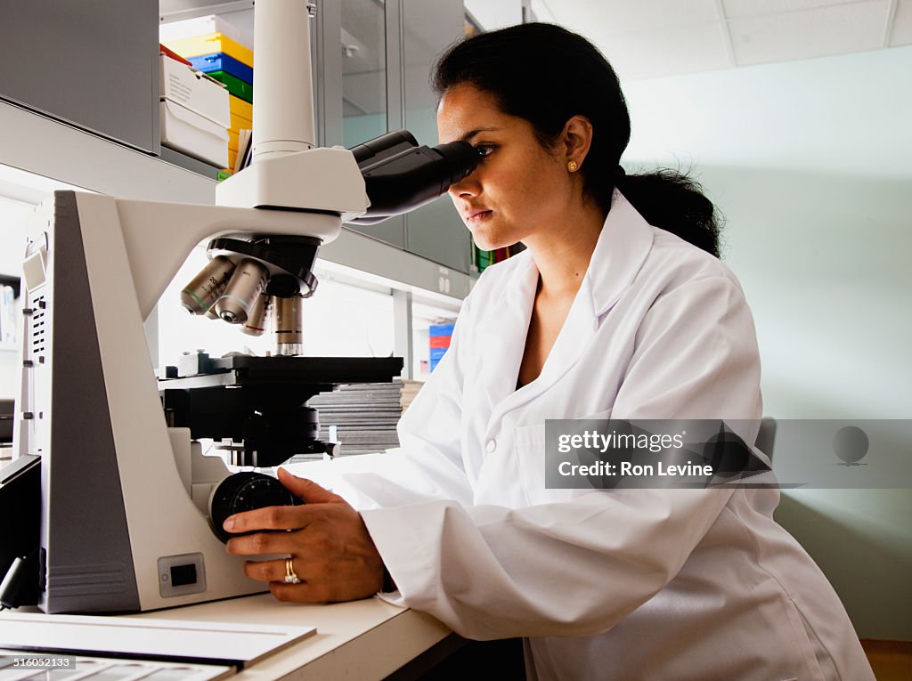 Researcher using microscope in hematology lab