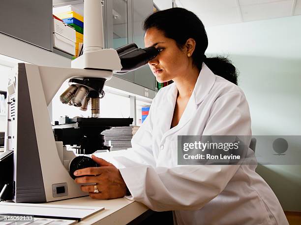 researcher using microscope in hematology lab - women in stem foto e immagini stock