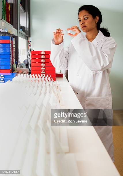 researcher inspecting slide in hematology lab - erwachsener über 30 stock-fotos und bilder