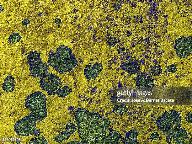 blackground rough textures stone yellow and green - black blackground stock pictures, royalty-free photos & images