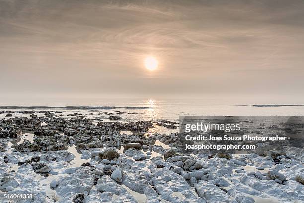 limestones on the beach - joas souza stock pictures, royalty-free photos & images