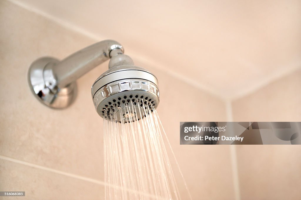 Landscape bathroom shower