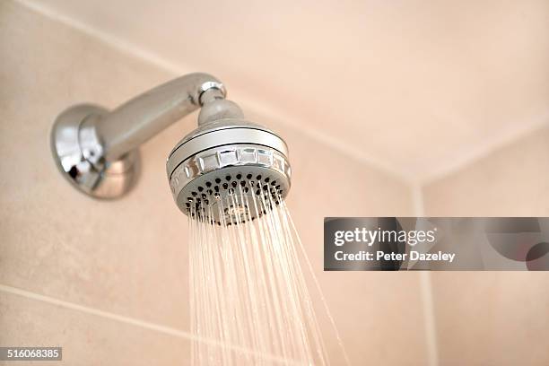 landscape bathroom shower - shower head stock pictures, royalty-free photos & images