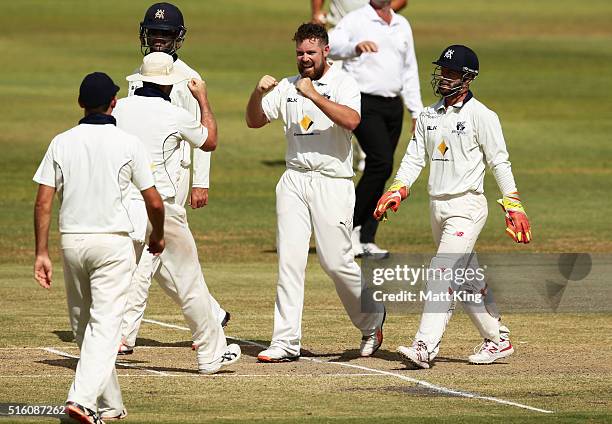 Jon Holland of the Bushrangers celebrates with team mates after taking the wicket of Ryan Carters of the Blues during day three of the Sheffield...