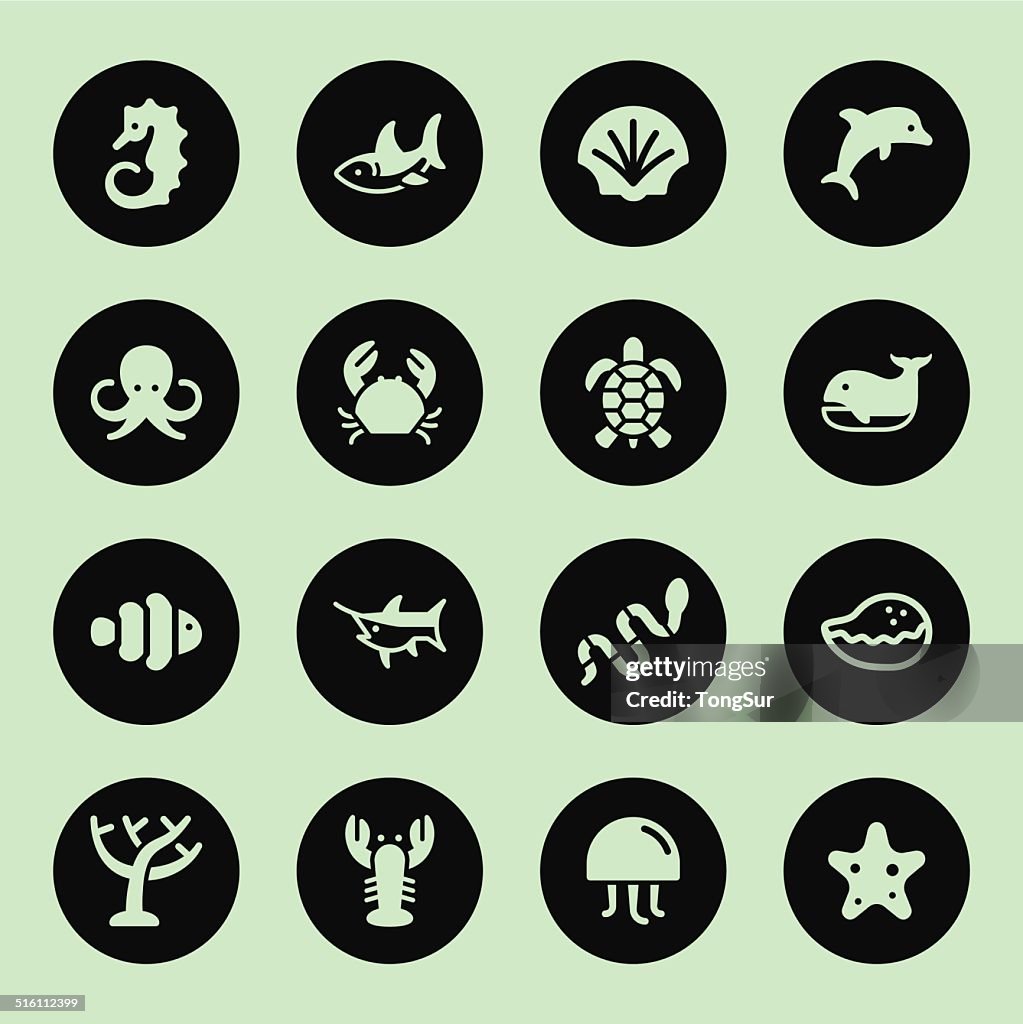 Marine Life Icons - Circle