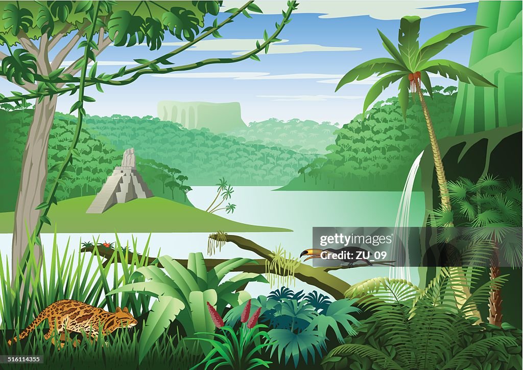 Jungle Landscape At A River With Many Plants And Animals High-Res Vector  Graphic - Getty Images