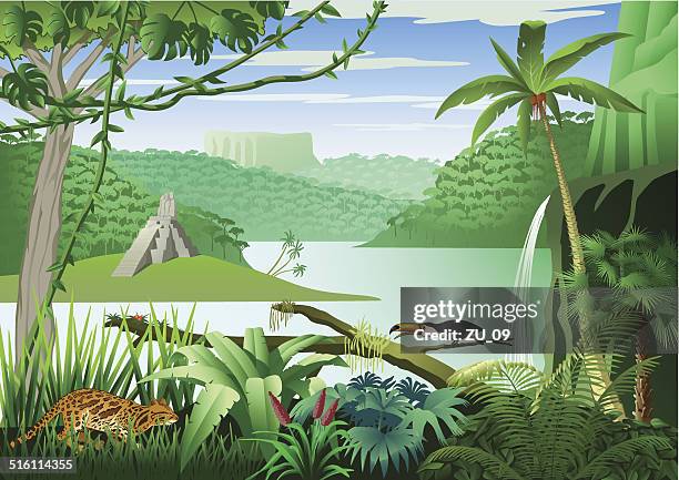 jungle landscape at a river with many plants and animals - tropical rainforest stock illustrations