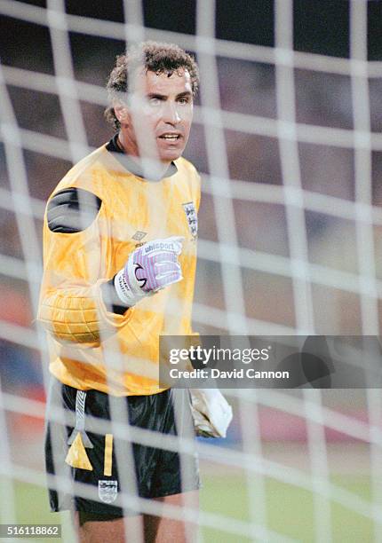 England goalkeeper Peter Shilton reacts during the FIFA 1990 World Cup match between England and Netherlands at Stadio Sant'Elia on June 16, 1990 in...