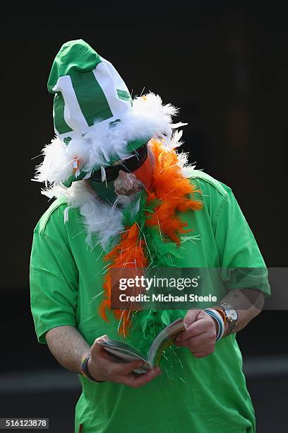 Irish racegoer studies the race card on day three, St Patrick's Thursday of the Cheltenham Festival at Cheltenham Racecourse on March 17, 2016 in...