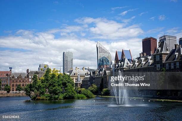 binnenhof palace - the hague stock pictures, royalty-free photos & images